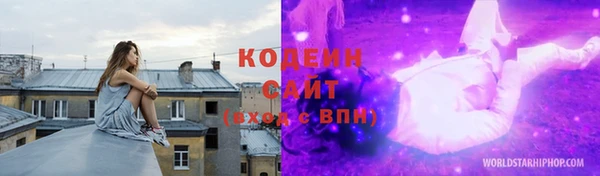 шишки Богородицк